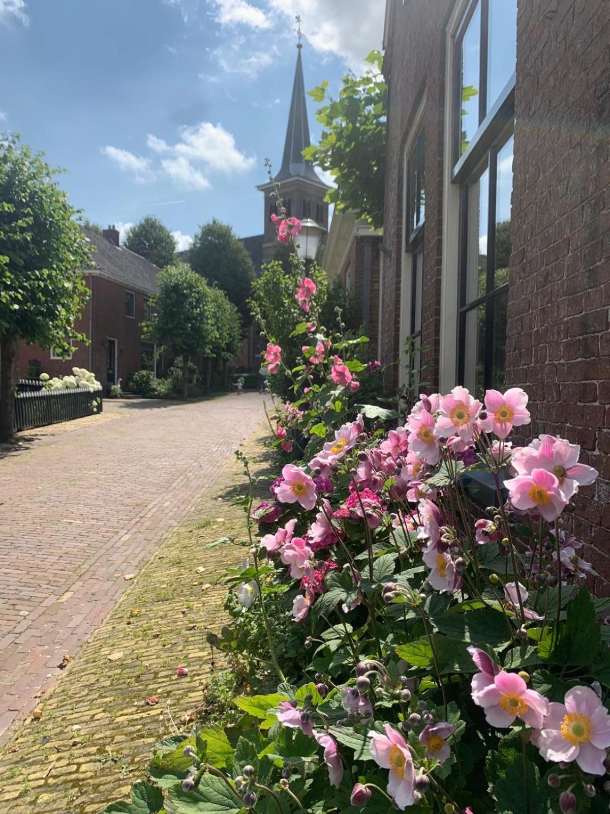 "Het Steechje" In Ie Bij Schiermonnikoog En Ameland Apartment Ee ภายนอก รูปภาพ
